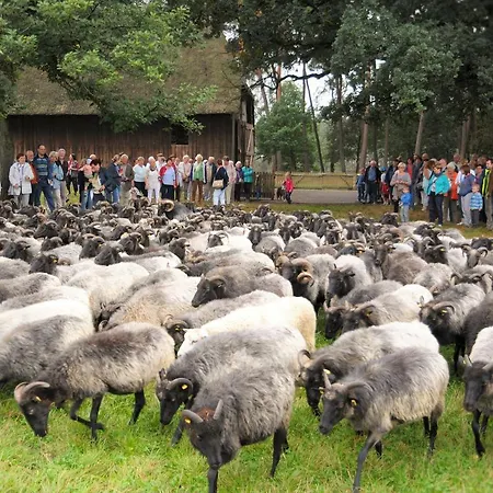 Ehlers Schneverdingen